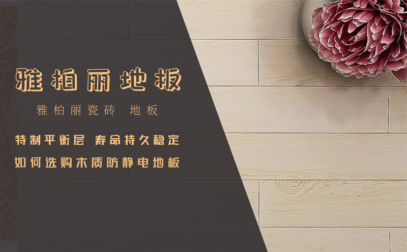 1-20091Q33055a4.jpg 1-20091Q33055a4.jpg